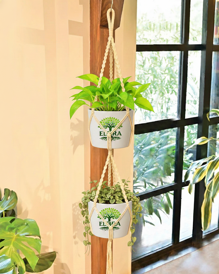Macrame Two Layer Hanger - Image 2
