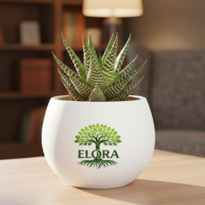 Zebra Haworthia Plant
