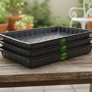 Microgreen Tray - Set of 3